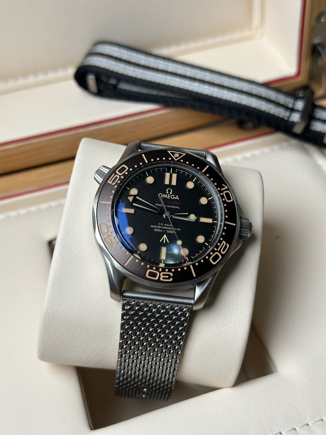 Omega SEAMASTER DIVER 300M 42 mm