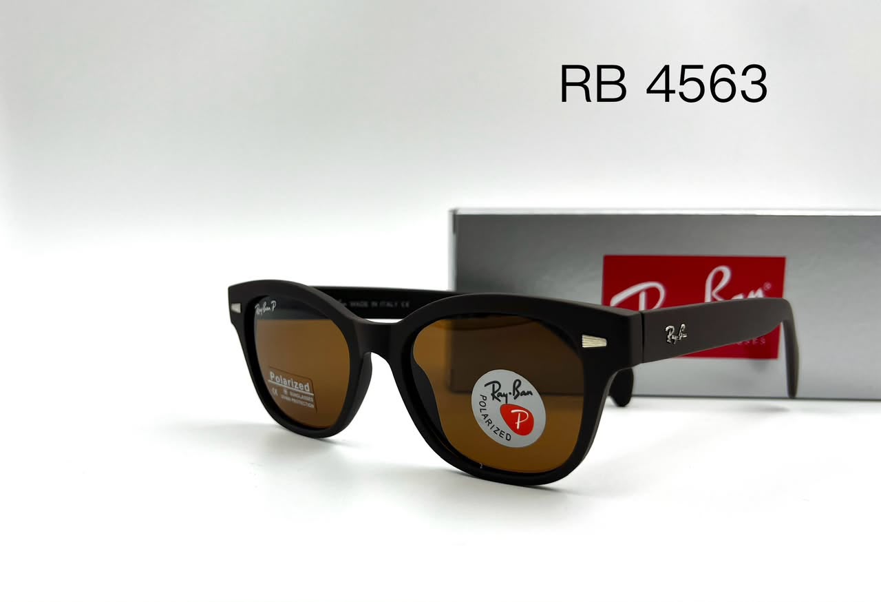 Ray-Ban Polarized Wayfarer Style Sunglasses–Matte Black