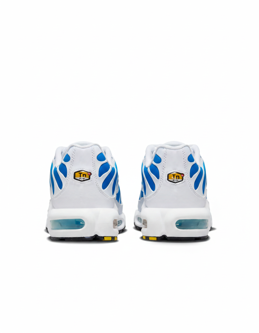 Nike Air Max Plus || Blue, White