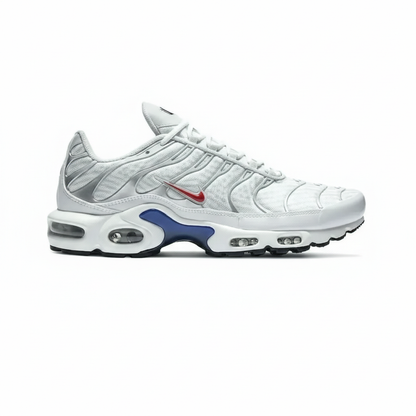 Nike Air Max Plus  White/Gray