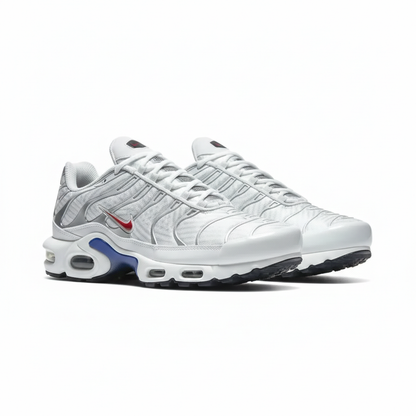 Nike Air Max Plus  White/Gray