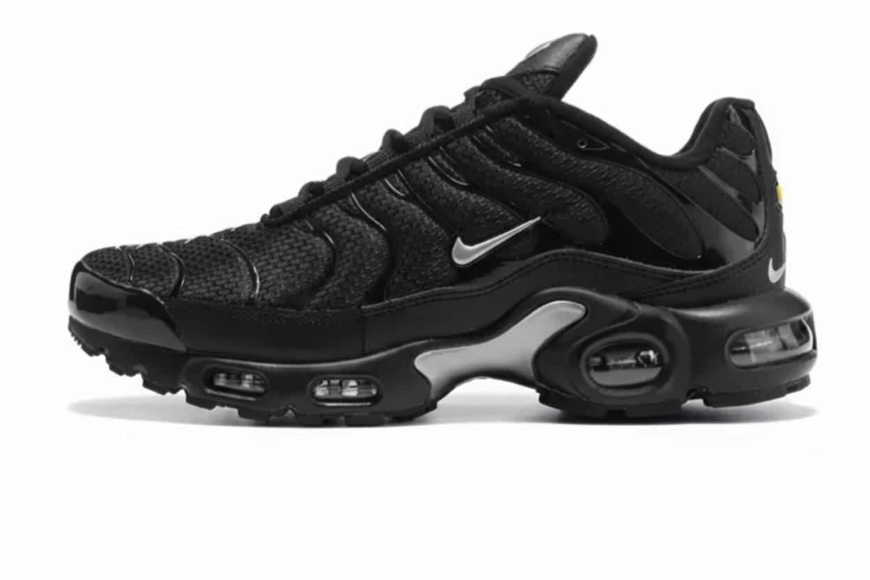 Nike Air Max Plus  “Black/Silver”