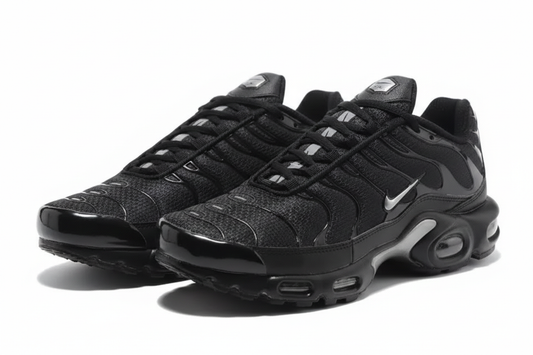 Nike Air Max Plus  “Black/Silver”
