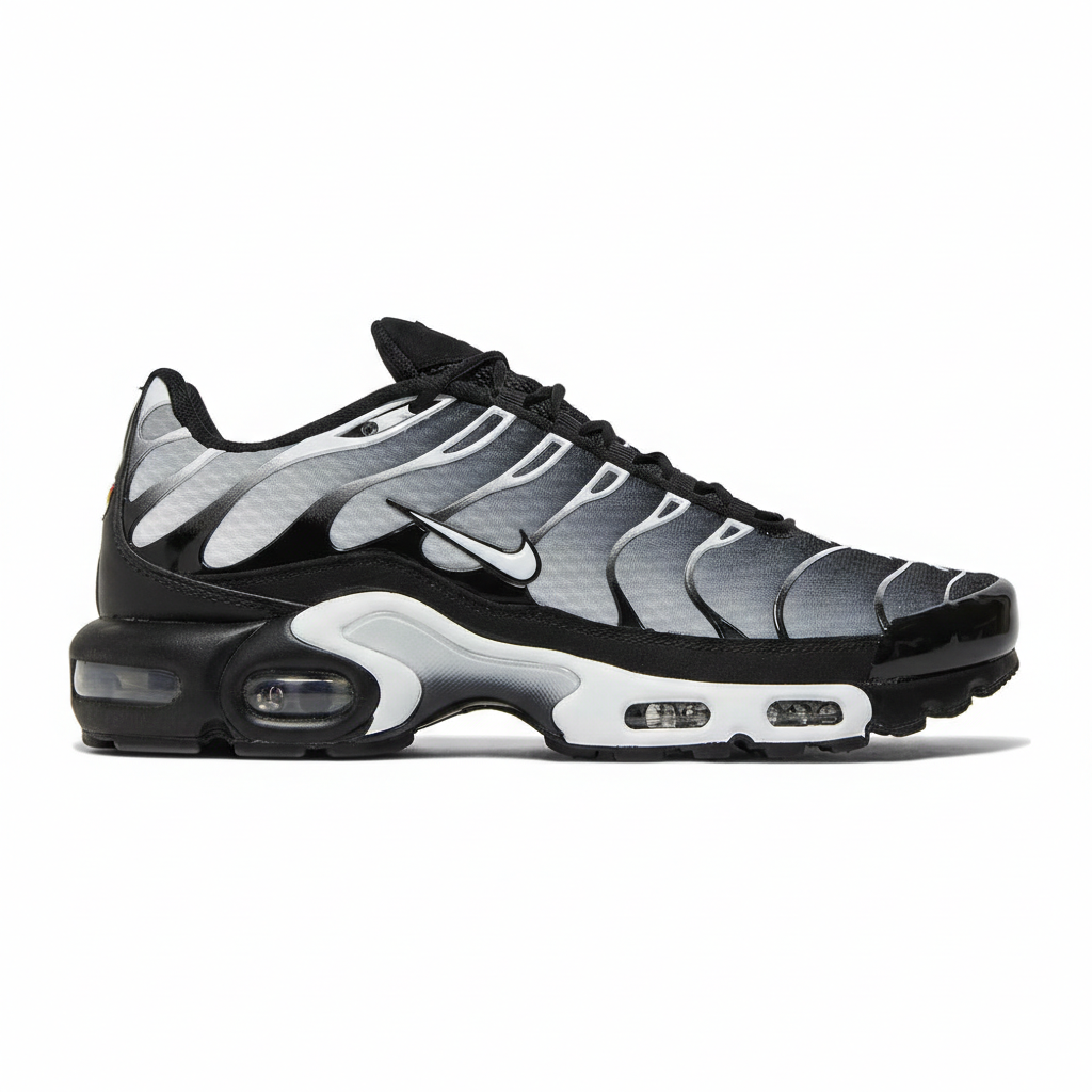 Nike Air Max "Black/Silver"