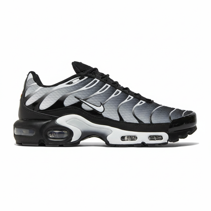 Nike Air Max "Black/Silver"