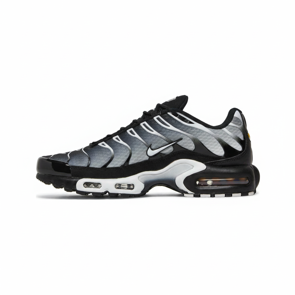 Nike Air Max "Black/Silver"
