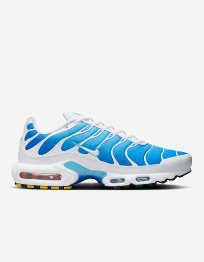 Nike Air Max Plus || Blue, White
