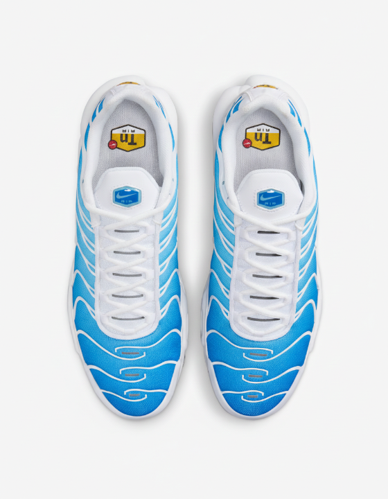 Nike Air Max Plus || Blue, White