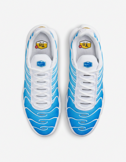 Nike Air Max Plus || Blue, White