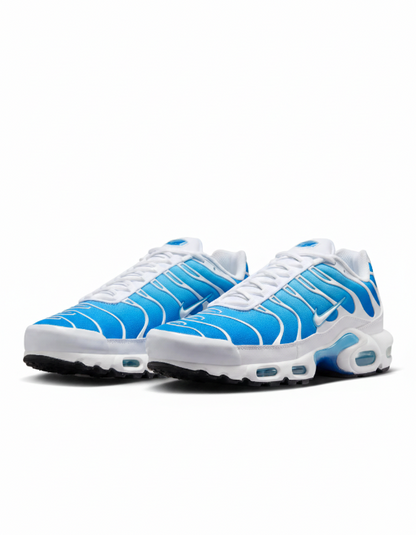Nike Air Max Plus || Blue, White