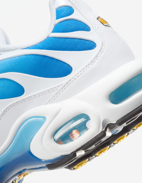 Nike Air Max Plus || Blue, White