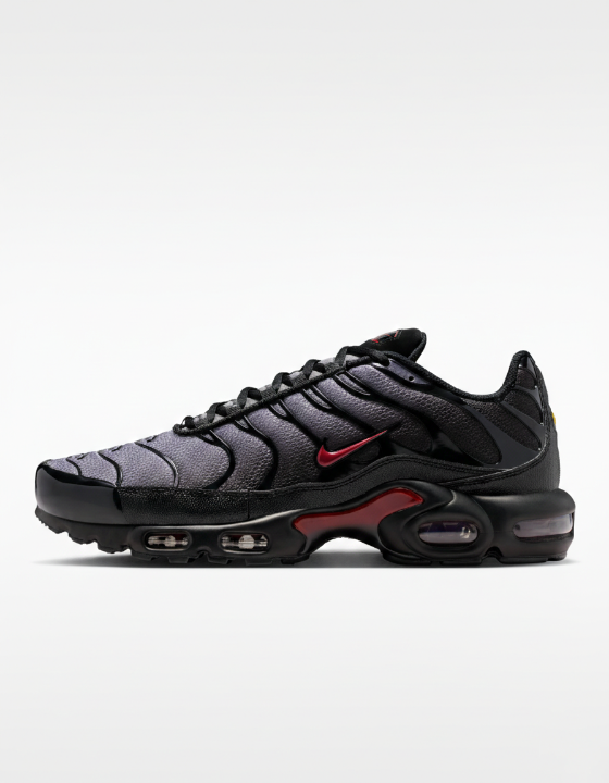 Nike Air Max Plus  "Black/Gray"