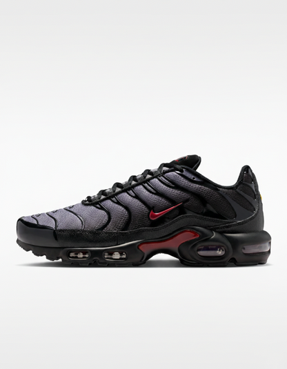 Nike Air Max Plus  "Black/Gray"