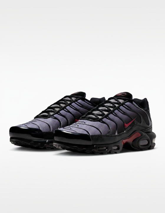 Nike Air Max Plus  "Black/Gray"