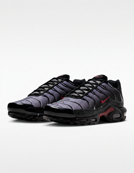 Nike Air Max Plus  "Black/Gray"