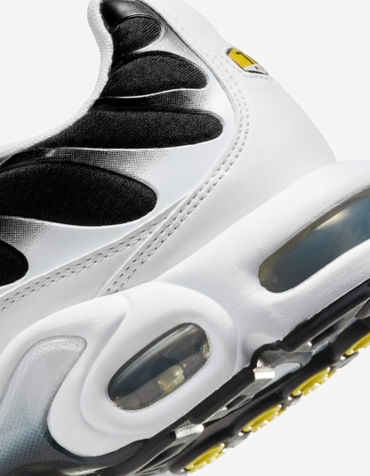 Nike Air Max Plus  Black/White