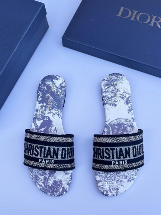 Christian Dior Dway Slide  "Blue Toile"