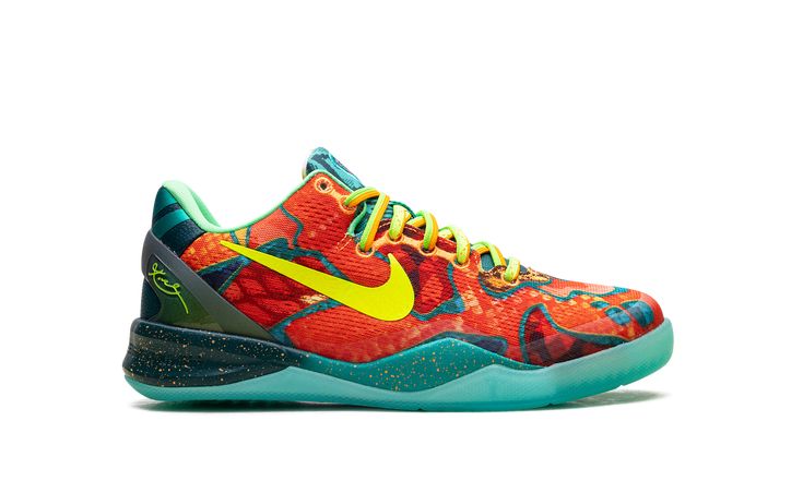 Nike Kobe 8 Protro  Kobe Multi-Color