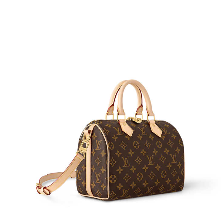 Louis Vuitton Speedy Bandoulière-Inspired Brown Monogram Bag